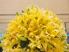 -国家会展中心上海洲际酒店