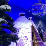春天也带娃能去玩雪❓