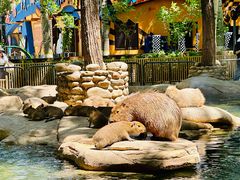 -北京野生动物园