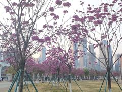 -广东财经大学(广州校区)