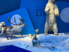 -贝林大翅鲸简餐厅(国家海洋博物馆店)