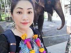 -西双版纳傣族园