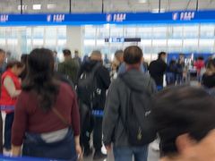 -吴淞口国际邮轮码头-停车场