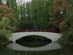 -东平国家森林公园