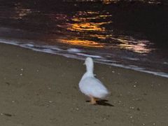-兴城海滨风景区