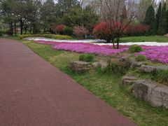 -日照灯塔风景区