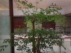 -深圳维景酒店-维景轩