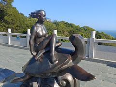 -广东惠东海龟国家级自然保护区