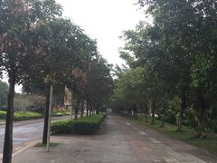 -红色娘子军纪念园