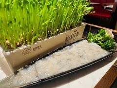 -捞神煲汤火锅(湖滨商业街店)