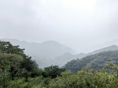 -大岭沟猕猴桃谷风景区