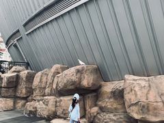 -烟台海昌鲸鲨海洋公园