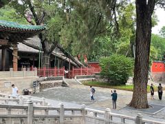 -晋祠公园