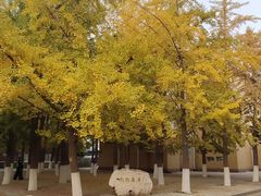 -辽宁大学(崇山校区)
