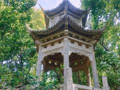 -济南国际园博园