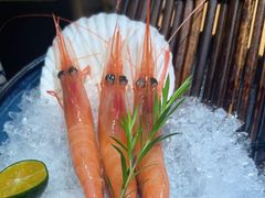-沼津港精致料理·寿喜烧·烧鸟(青浦宝龙广场日料榜单店)