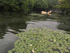 -西湖天地