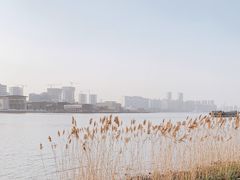 -上海山野camping·户外天幕烧烤·团建拓展营地