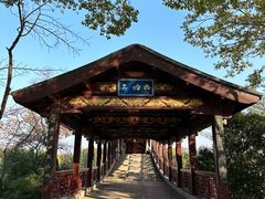 -长广溪湿地公园