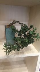 -云上瑜伽·普拉提·维密馆