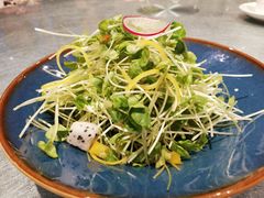 -望乡楼上海菜(日月光店)