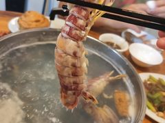 -凯华海鲜火锅·传承三十六年