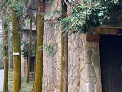 -象山森林公园