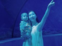 -太平洋海底世界