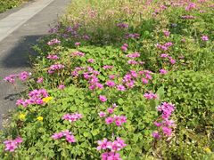 -白塘生态植物园