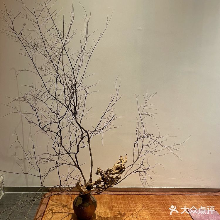 景德镇|素食|鹅鹅鹅|每个人的梦想都值得被鼓励