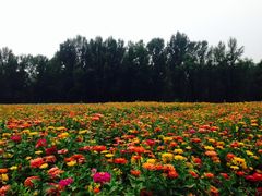 百里山水画廊风景区-乌龙峡谷景区