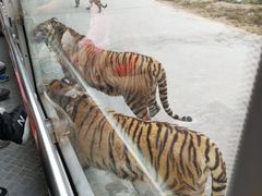 -西安秦岭野生动物园
