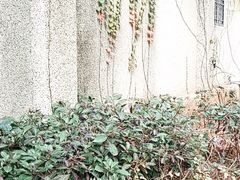 -铁路文化公园