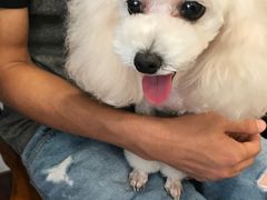 -多卡布奇宠物生活馆(上林世家店)