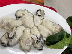 -花苑美食横琴生蚝火锅(拱北粤华路店)