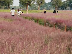 -汉长安城未央宫国家考古遗址公园