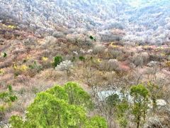 android_upload_pic-云台山风景名胜区