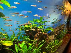 -太平洋海底世界