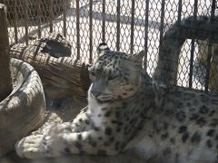 -青藏高原野生动物园