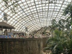 -盛泰恐龙谷温泉