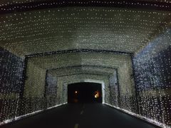 -浙江安吉JW万豪酒店