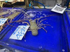-兰坡海鲜市场