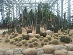 -祥源·阜阳生态乐园