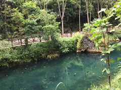 -小七孔景区东门售票处