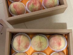 -老袁家蜜桃农场·阳山水蜜桃