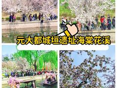 -元大都城垣遗址公园