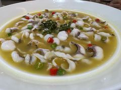 -青花椒花椒鱼(合生汇店)