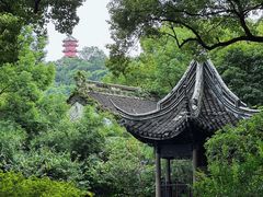 -二泉园老菜馆·百年无锡菜