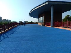 -鉴湖国家城市湿地公园