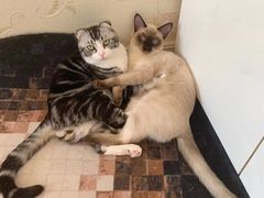 -乐刻运动健身(枫蓝国际升级店)